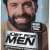 Just For Men Brush in Color Gel Schwarz