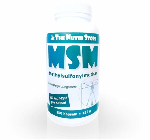 Msm 500 mg Methylsulfonylmethan 250 Kapseln
