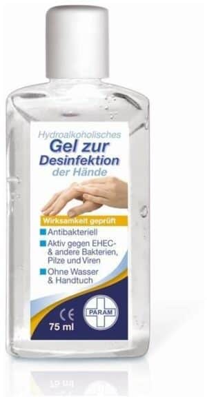 Desinfektionsgel Für die Hand Antibakteriell 75 ml Gel