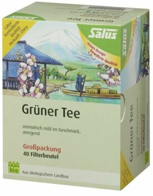 Grüner Tee Bio Salus 40 Filterbeutel Großpackung