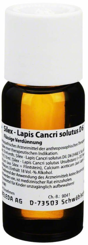 Silex Lapis Cancri Solutus D 6 Dilution