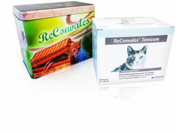 Reconvales Tonicum Für Katzen 6 X 45 ml Tonikum