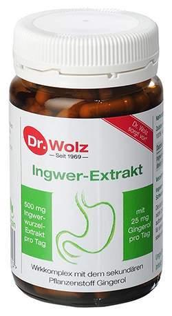 Ingwer Extrakt Dr. Wolz 120 Kapseln