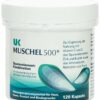 Uk Muschel 500 Kapseln