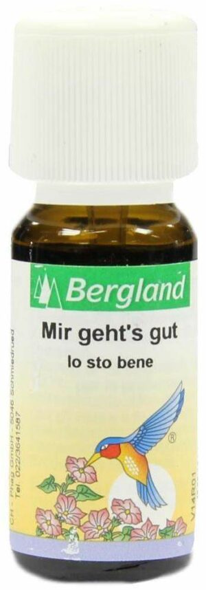 Mir Gehts Gut Ätherische Öl Mmischung 10 ml