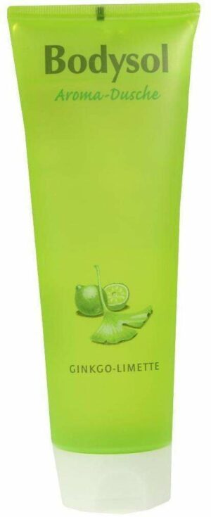 Bodysol Aroma Dusche Ginkgo Limette 250 ml Duschgel