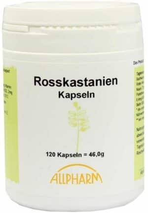 Rosskastanien Kapseln