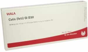 Cutis Feti Gl D 30 Ampullen 10 X 1 ml