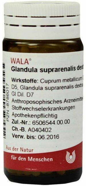 Wala Glandula Suprarenalis Dextra Cum Cupro Coll. Globuli