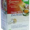 Ingwer Orange Spicy Tee Salus