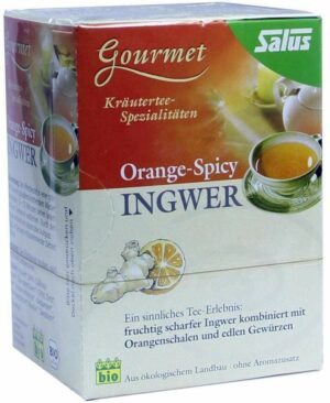 Ingwer Orange Spicy Tee Salus