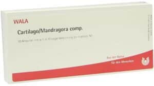 Cartilago Mandragora Comp. 10 X 1 ml Ampullen