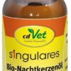 Nachtkerzenöl Vet 50 ml Öl