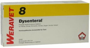 Dysenteral 8 vet. 20 X 2 ml Ampullen