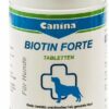 Biotin Forte Vet 100 G Tabletten