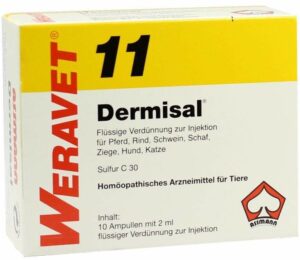 Dermisal 11 vet. 10 X 2 ml Ampullen