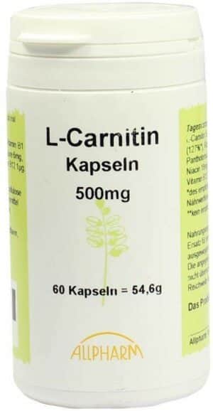 L-Carnitin 500 mg Kapseln