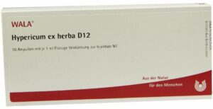 Hypericum Ex Herba D 12 Ampullen 10 X 1 ml