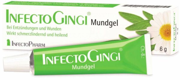 Infectogingi Mundgel 6 G Gel