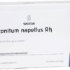 Aconitum Napellus Rh D 20 Ampullen