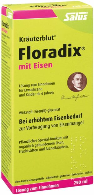 Floradix Eisen Tonikum 250 ml