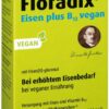 Floradix Eisen Plus B 12 Vegan 250 ml Tonikum