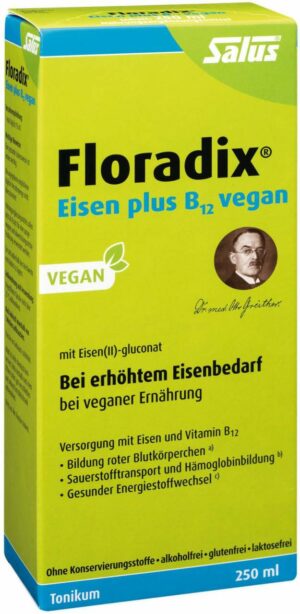 Floradix Eisen Plus B 12 Vegan 250 ml Tonikum