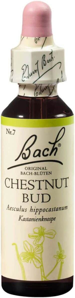 Bachblüten Chestnut Bud 20 ml Tropfen