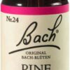 Bachblüten Pine 20 ml Tropfen
