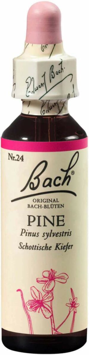 Bachblüten Pine 20 ml Tropfen