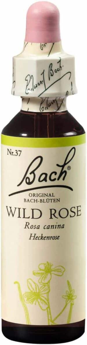 Bachblüten Wild Rose 20 ml Tropfen