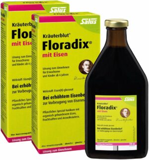 Floradix Eisen Tonikum 2 x 700 ml