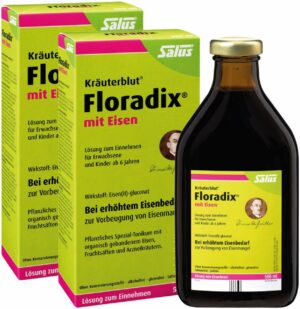 Floradix Eisen Tonikum 2 x 500 ml