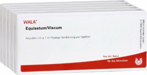 Equisetum Viscum Ampullen 50 X 1 ml
