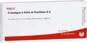 Crataegus E Foliis Et Fructibus D 2 10 X 1 ml Ampullen
