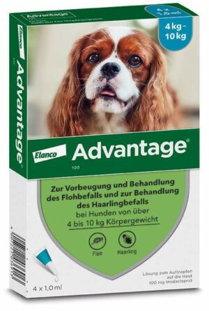 Advantage 100 Lösung für Hunde 4 - 10 kg 4 Einzeldosispipetten