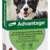 Advantage 250 Lösung für Hunde 10 - 25 kg 4 Einzeldosispipetten