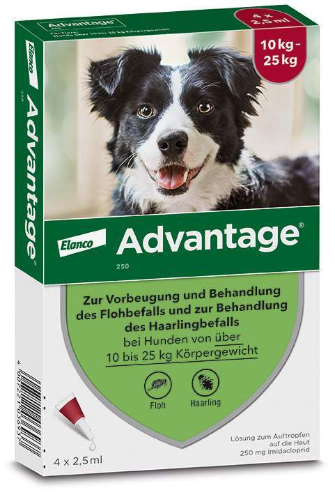 Advantage 250 Lösung für Hunde 10 - 25 kg 4 Einzeldosispipetten