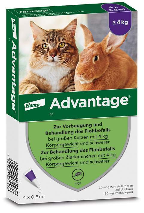 Advantage 80 mg für Katzen und Zierkaninchen über 4 kg 4 x 0
