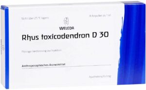 Rhus Toxicodendron D 30 8 X 1 ml Ampullen