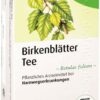 Birkenblätter Arzneitee Bio Salus 15 Filterbeutel