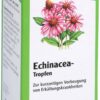 Echinacea Tropfen Salus 100 ml