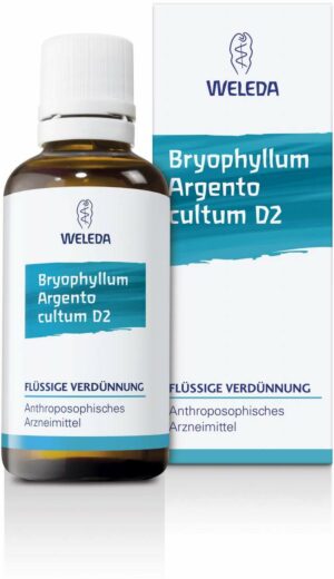 Bryophyllum Argento Cultum D 2 Weleda 50 ml Dilution