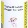 Vitamin B Komplex 100 Kapseln Für Hunde