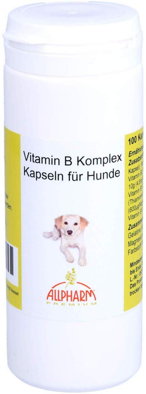 Vitamin B Komplex 100 Kapseln Für Hunde