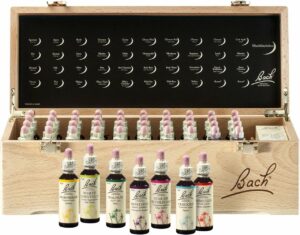 Original Bachblüten Professional Set 40 x 20 ml in Holzkiste