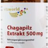 Chaga Pilz Extrakt 500 mg 100 Kapseln