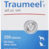 Traumeel T Vet. 250 Tabletten