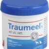 Traumeel T vet. 500 Tabletten