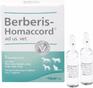 Berberis Homaccord vet. 5 X 5 ml Ampullen